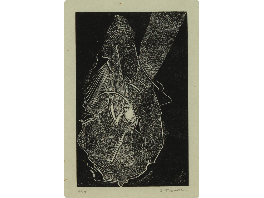 Sound Form 5